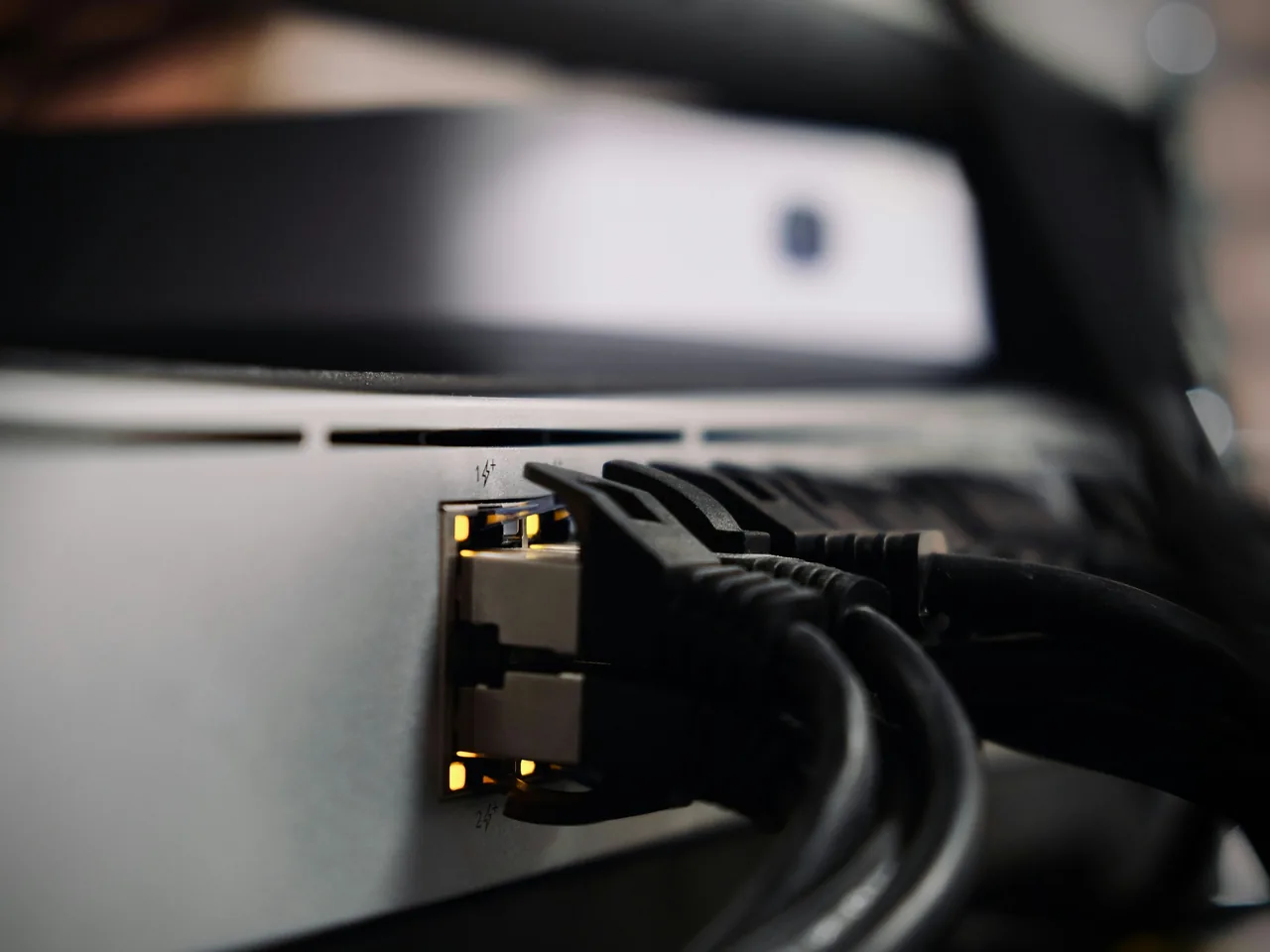 Netzwerkkabel stecken in den beleuchteten Anschlüssen eines Netzwerkgeräts