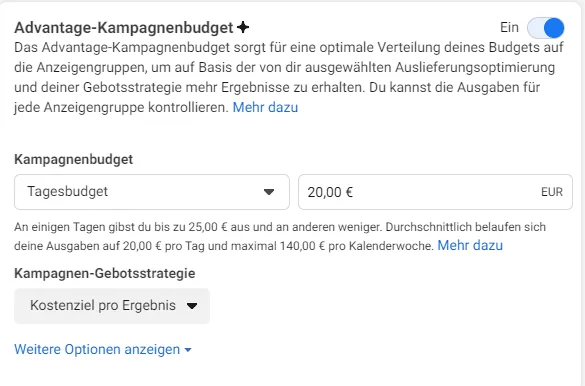 Facebook Ads Kosten Kampagnenbudget