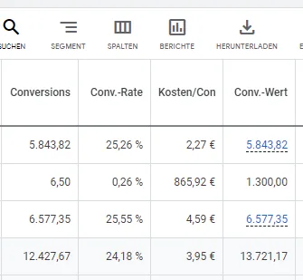 Google Ads Conversion Tracking Kennzahlen